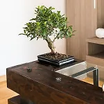 Apartment House Borgo Pio 195