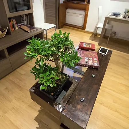 House Borgo Pio 195 Apartment Rom