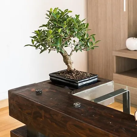 아파트 House Borgo Pio 195
